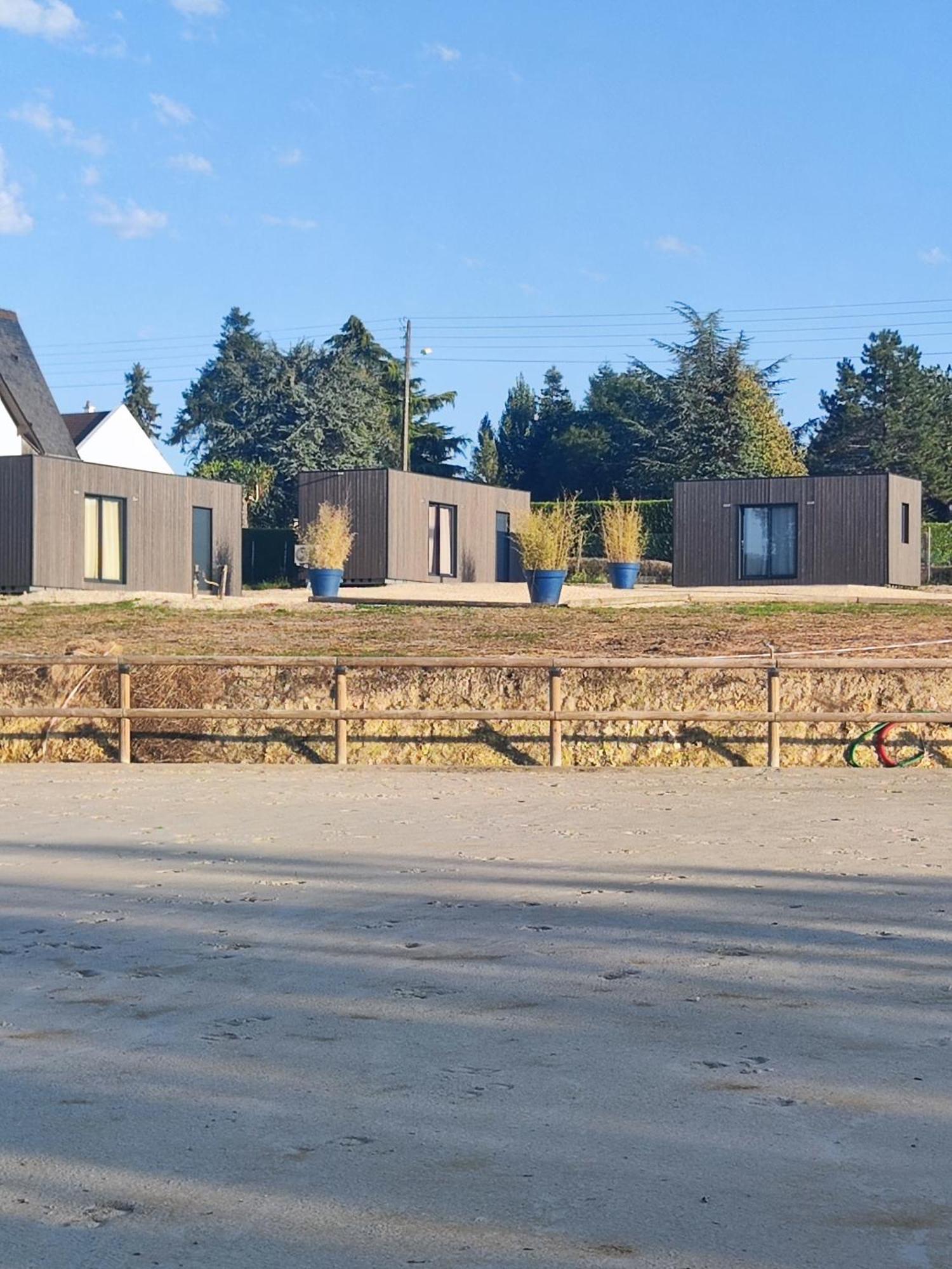 Domaine Du Moulin Neuf Aux Portes De Beauval Nouans-les-Fontaines 外观 照片