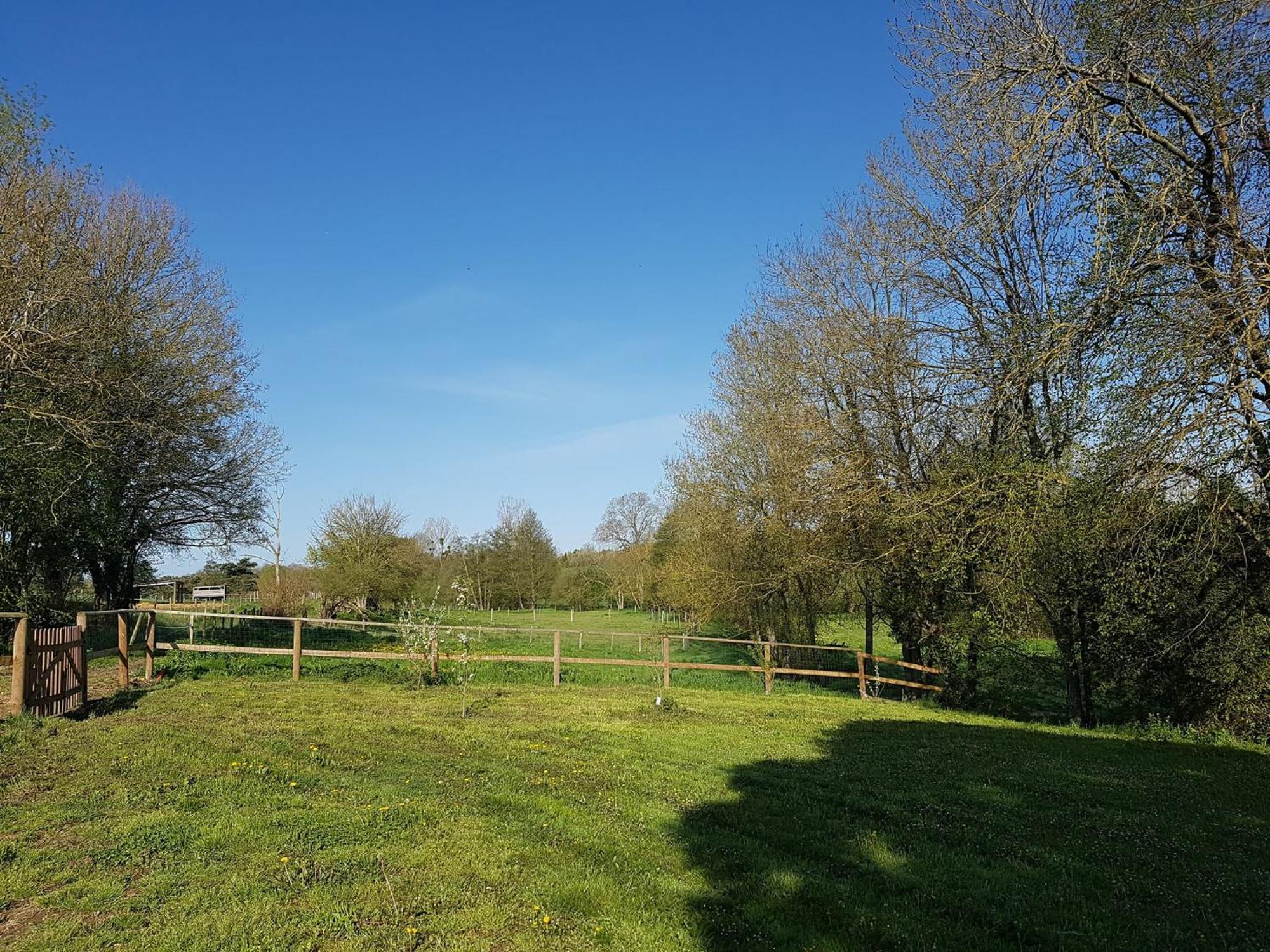 Domaine Du Moulin Neuf Aux Portes De Beauval Nouans-les-Fontaines 外观 照片